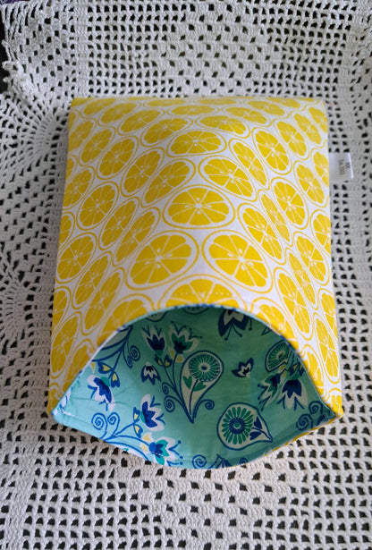 Kindle-Book-Tablet Sleeve Teal Lemons and Floral