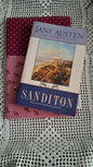 Kindle-Book-Tablet Sleeve Dot & Roses